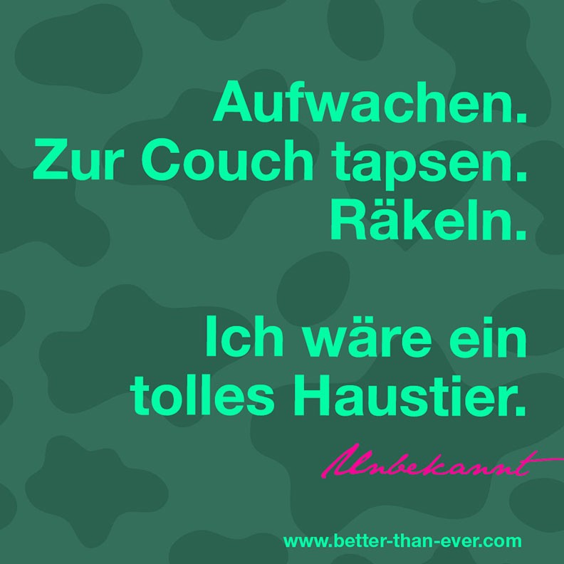 Aufwachen. Zur Couch tapsen …