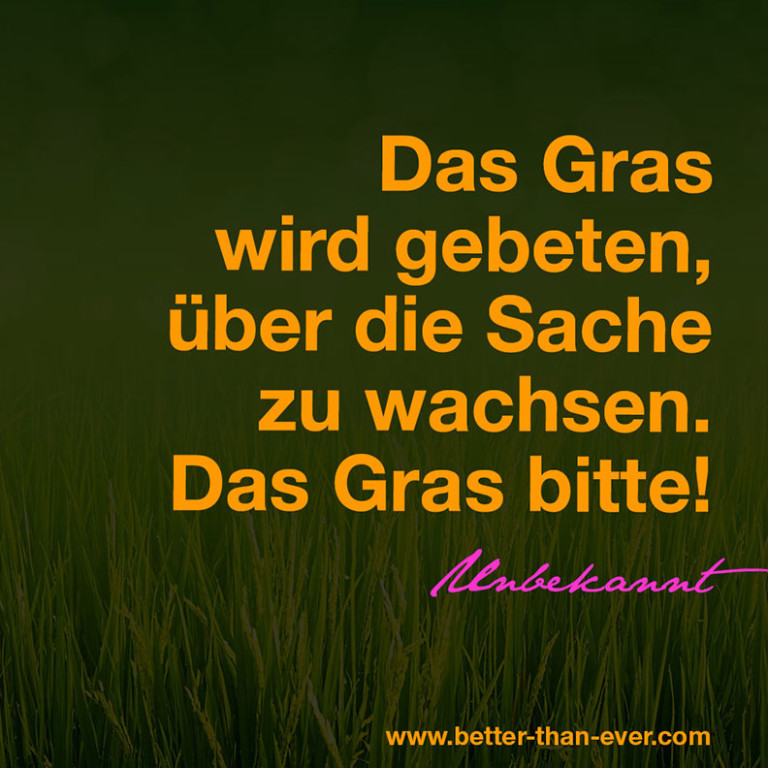 Das Gras wird gebeten über die Sache zu wachsen. Das Gras bitte!