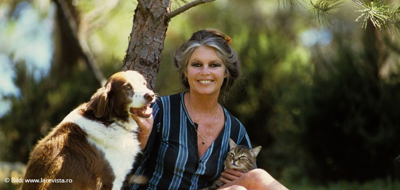 We Like Brigitte Bardot
